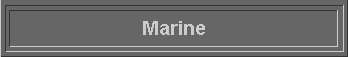  Marine 